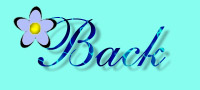fmnback3.jpg (13228 bytes)